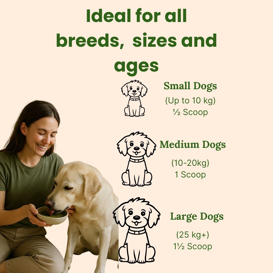 Dog's greens powder